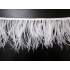 Feathers trimming SOLD OUT