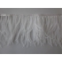 Feathers trimming SOLD OUT