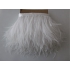 Feathers trimming SOLD OUT