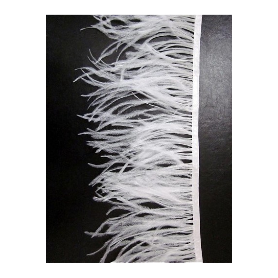 Feathers trimming SOLD OUT