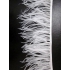 Feathers trimming SOLD OUT